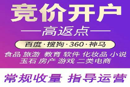 百度推广代理的投放策略及效果评估案例